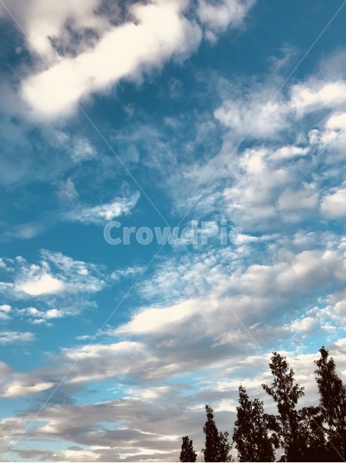 가을,하늘,풍경,구름,양떼구름,자연환경,자연,풍경,nature,landscape,outdoors,옥외,sky,azure sky,푸른 하늘