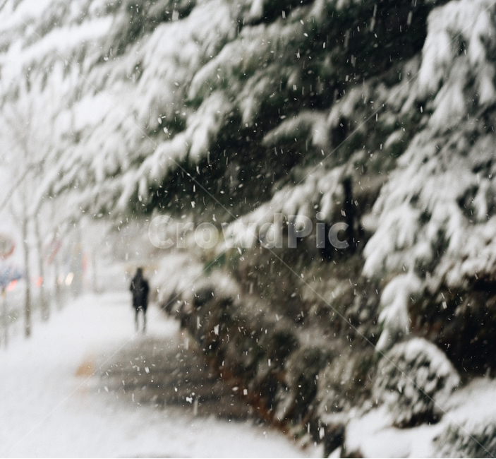 눈,겨울,계절,첫눈,snow,겨울,계절,winter,season,자연,풍경,nature,landscape,storm,폭풍,outdoors,옥외,blizzard,눈보라