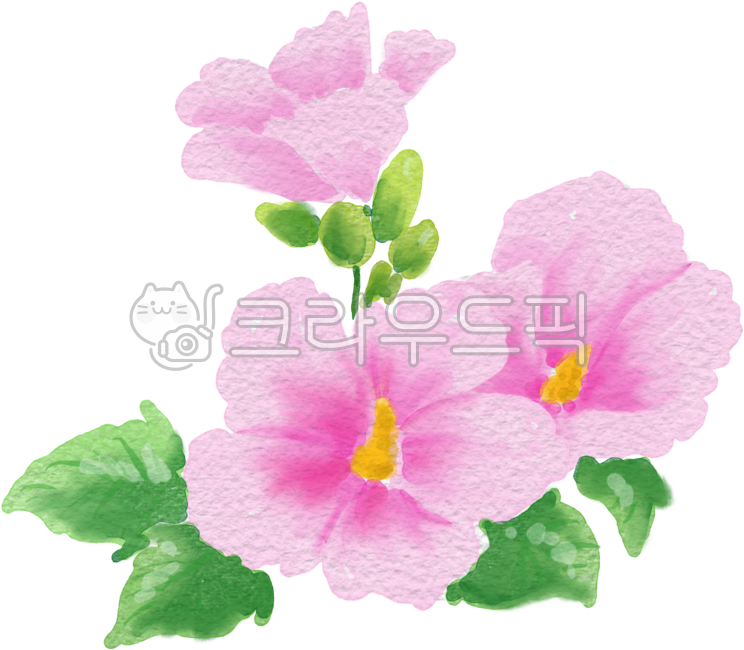 무궁화,꽃,나라꽃,한국꽃,분홍꽃,여름,국가,국화,애국,삼일절,광복절,현충일,제헌절,나라사랑,손그림,일러스트,koreanflower,handdrawing,flower,illustration
