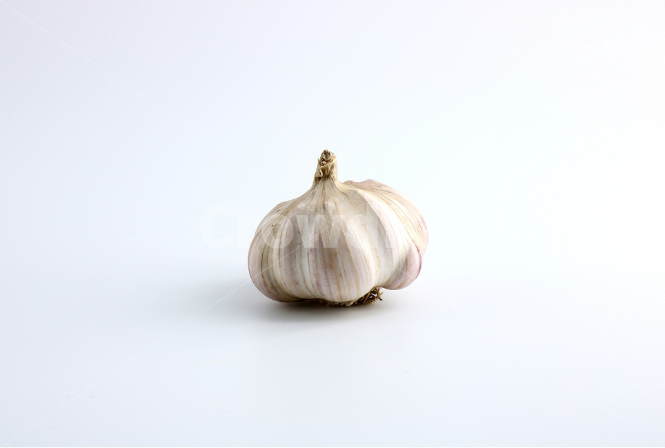 사진,누끼,마늘,야채,채소,햇마늘,육쪽마늘,갈릭,통마늘,재료,식자재,음식,식재료,요리,food,cook,meal,dishes,food reserves,채소,야채,vegetables,누끼,remove background