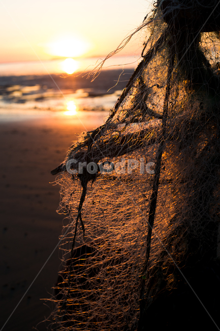 일몰,해질녘,그물,바다,해변,해변,바다,beach,sea