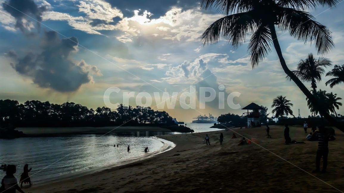 nature,자연,옥외,outdoors,weather,날씨,사람,해변,beach,singapore,싱가포르,싱가폴,여름,summer,야자수,palmtree