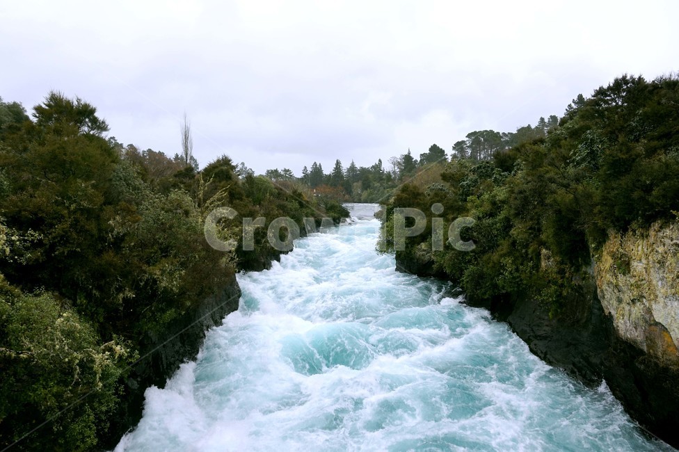 뉴질랜드,폭포,거친,물살,숲,newzealand,waterfall,자연,풍경,nature,landscape,해외,외국,세계,foreign,oversea,world,세계자연풍경,해외자연풍경,외국자연풍경,world nature landscape,water,물,outdoors,옥외,river,강