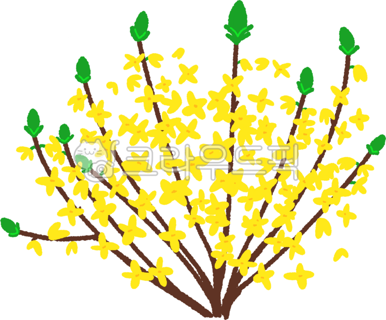 개나리,개나리꽃그림,개나리꽃일러스트,봄에피는꽃,봄꽃,봄,계절꽃,노란꽃,꽃봉오리,꽃가지