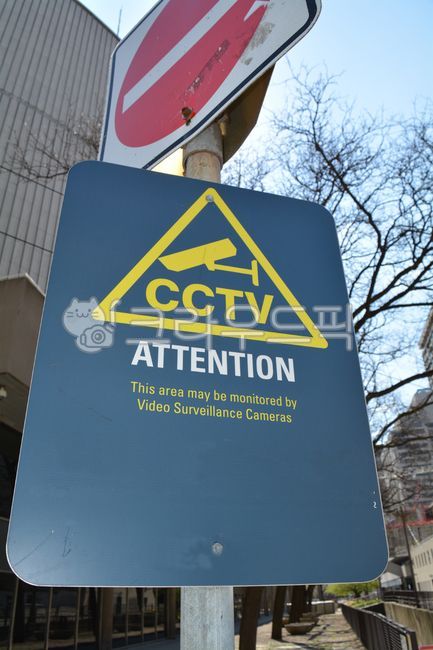 blue sky,symbol,No stopping,shadow,bluesky,cctv,branch,building,surveillance camera,trafficinformation,caution,traffic,sky,tree,Traffic information board,stop,branche,trafficsign,attention,Sign,methodcamera,traffic sign,English notation