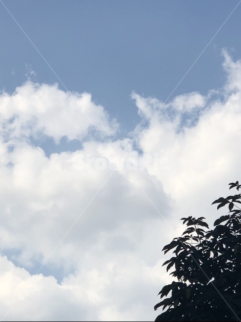 sky,하늘,날씨,cloud,구름,자연,nature
