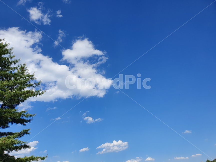 산,하늘,나무,풍경,자연,sky,mountain,landscape,scenery,scene,view