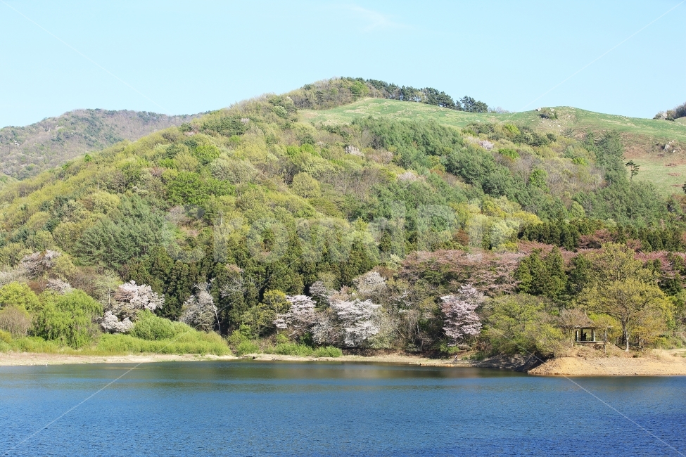 자연,풍경,녹색,파랑,식물,이미지,호수,산,자연,풍경,nature,landscape,outdoors,옥외,water,물