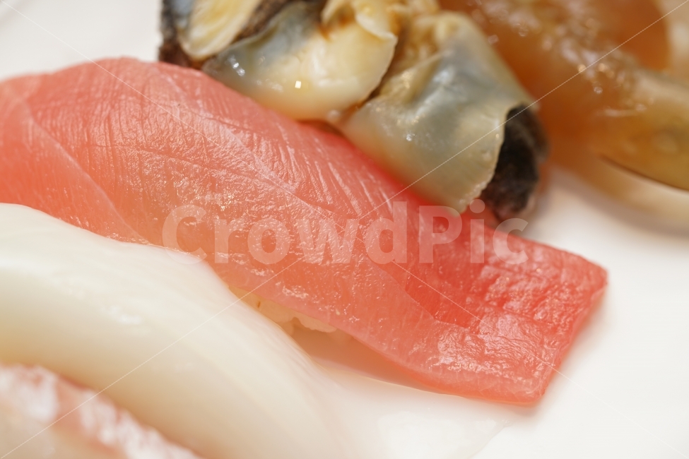 회,초밥,스시,부드러움,음식,푸드,식감,환상,안주,술안주,식사,먹방,안주추천,음식,식재료,요리,food,cook,meal,dishes,food reserves,수산물,해산물,fishery products,seafood,일식,일본음식,일본요리,Japanese food,Japanese dishes,Japanese meal,Japanese cook