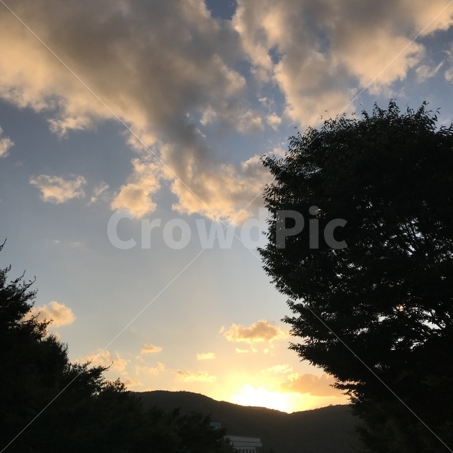 구름,하늘,노을,나무,따뜻함,warm,tree,sky,cloud,sunset,자연,풍경,nature,landscape,outdoors,옥외,flare,플레어,light,빛,sunlight,햇빛,dusk,황혼,red sky,붉은 하늘,dawn,새벽,일몰
