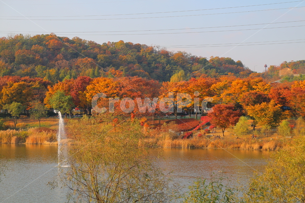 가을,단풍,단풍나무,공원,호수,하늘,자연,분수,가을,계절,fall,autumn,season,자연,풍경,nature,landscape,tree,나무,plant,식물,maple