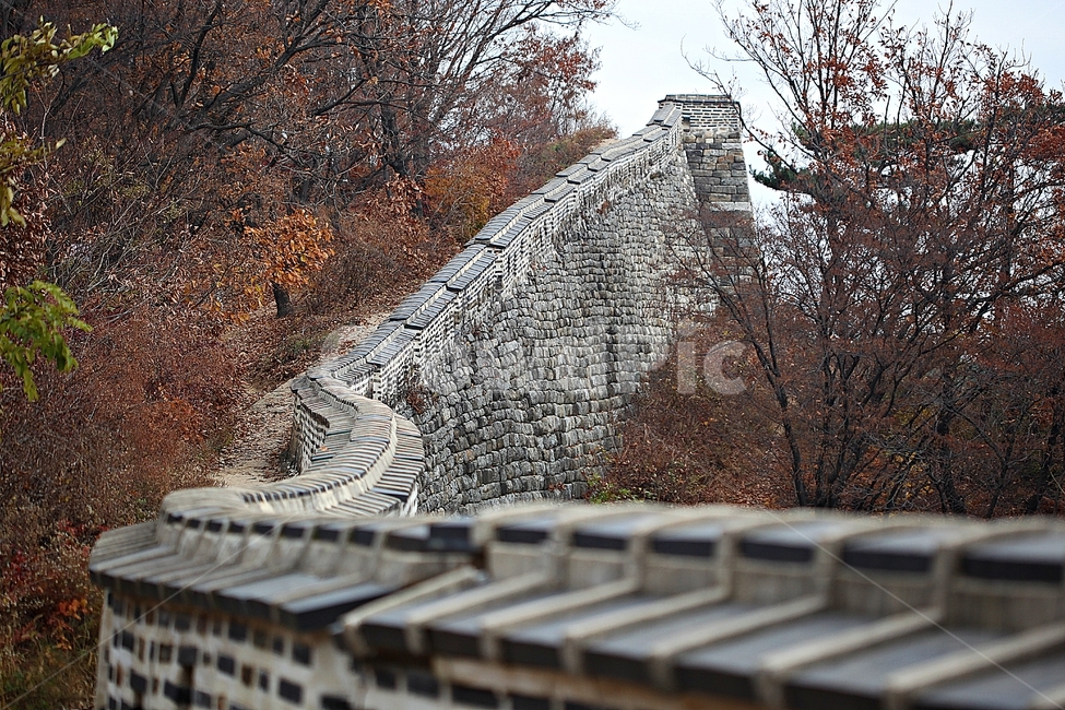 남한산성,성,성곽,단풍,낙엽,길,둘레길,담,돌담,가을,자연,풍경,벽,울긋불긋,산성,식물,가을,계절,fall,autumn,season