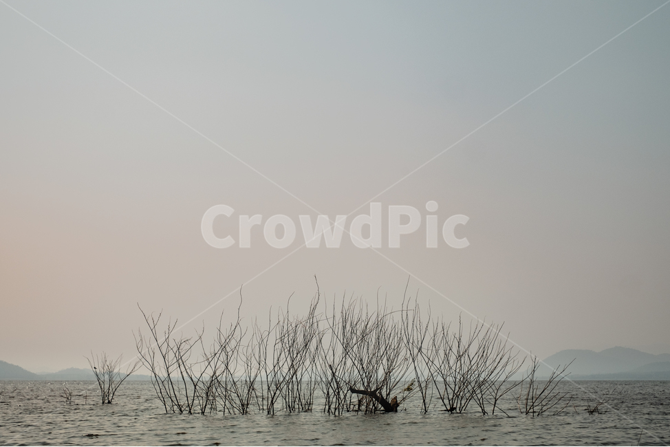 바다,나무,장소,조용한곳,태국,자연,풍경,nature,landscape,해외,외국,세계,foreign,oversea,world,세계자연풍경,해외자연풍경,외국자연풍경,world nature landscape,plant,식물,grass,잔디,animal,동물,flock,대군