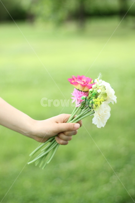 꽃,flower,손,꽃을든손,자연,선물,꽃다발,bouquet,present,hand,nature,소녀,여자손,그린,green
