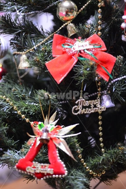 크리스마스,트리,장식,구슬,Christmas,ball,decoration,성탄절,겨울,계절,winter,season,기념일,축하,anniversary,congratulation,celebrate,celebration,메리크리스마스,성탄절,merry christmas,사물,물건,오브젝트,thing,object,matter