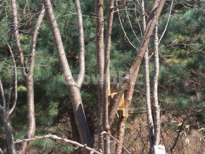 새먹이,먹이통,산새,산새먹이,새