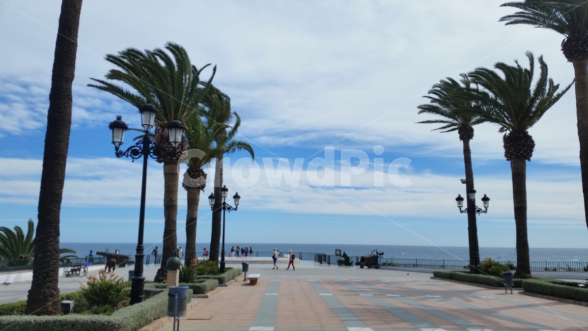 야자수,arecaceae,path,통로,스페인,네르하,자연,풍경,nature,landscape