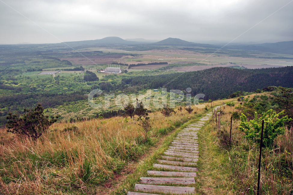 갑마장길,제주도,표선면,가시리,트레일,대록산,탐방로,자연,풍경,nature,landscape,제주도,jeju,jeju island