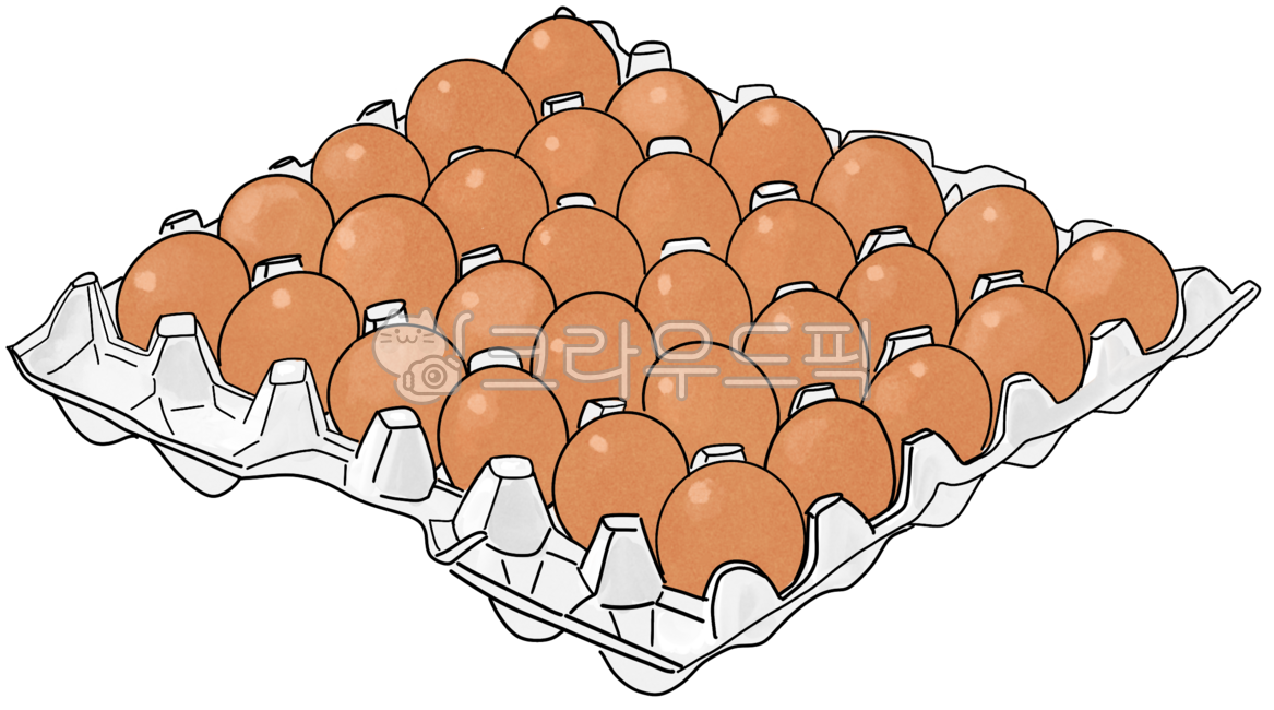 계란,계란한판,계란판,달걀,egg,일러스트,감성
