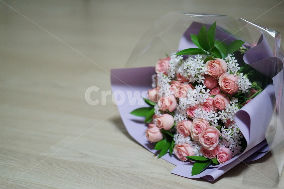꽃다발,생일,핑크,축하,기념일,꽃,flower,기념일,축하,anniversary,congratulation,celebrate,celebration
