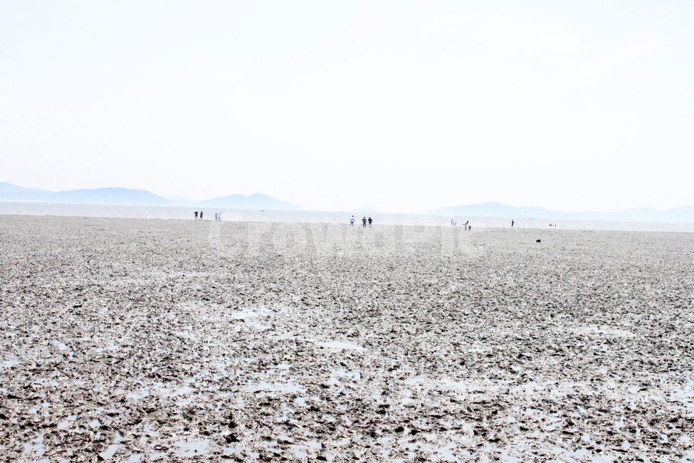 자연,하늘,바다,갯벌,mudflat,sky,sea