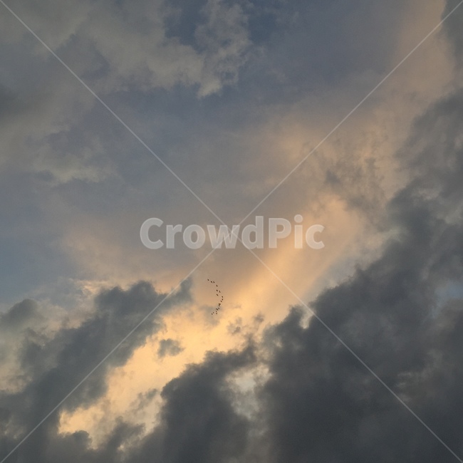 weather,날씨,nature,자연,outdoors,옥외,cumulus,적운,cloud,구름,sky,하늘,자연,풍경,nature,landscape