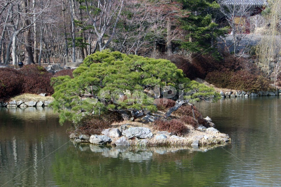 섬,강,물,강물,유원지,돌,돌담,울타리,그늘,비침,자연,나들이,소풍,자연,풍경,nature,landscape,식물,plants,나무,trees,wood,water,outdoors,옥외