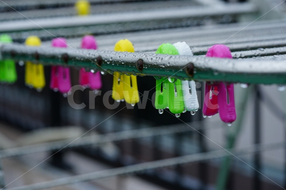 	물방울,빗물,비,물,접사,감성,감성사진,느낌,풍경,비오는날,레인,rain,옷걸이,빗소리,워터,일상,풍경사진,감정,집게,빨래집게,비,비오는날,rain,rainy,사물,물건,오브젝트,thing,object,matter