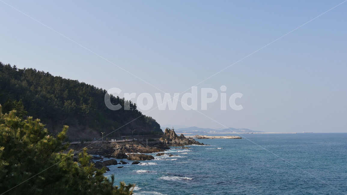 바다,나무,초록,파란,겨울바다,곶,자연,풍경,nature,landscape