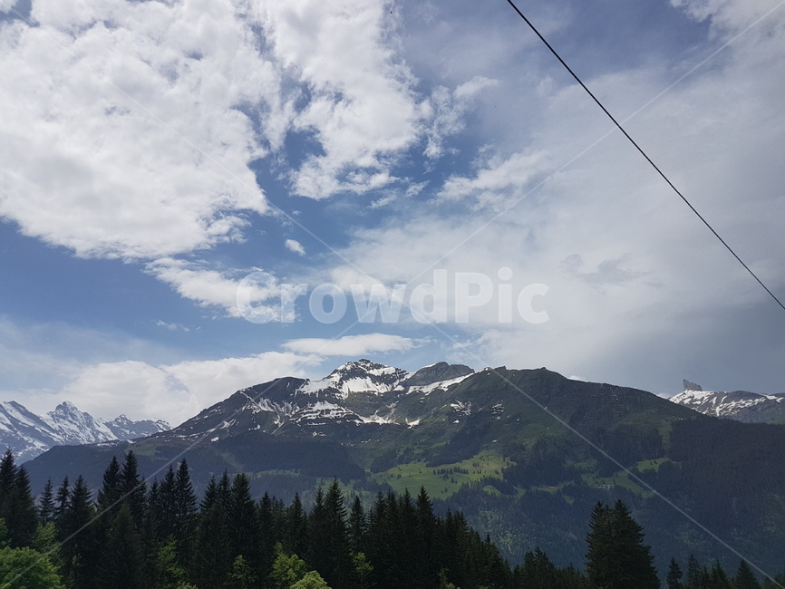 스위스,인터라켄,switzerland,융프라우,jungfrau,유럽,europe,산악열차,산,나무,하늘,힐링,nature,자연,landscape,경치,scenery,풍경,mountain,sky,tree,healing,자연,풍경,nature,landscape,해외,외국,세계,foreign,oversea,world,세계자연풍경,해외자연풍경,외국자연풍경,world nature landscape,plant,식물,fir,전나무,abies,아비