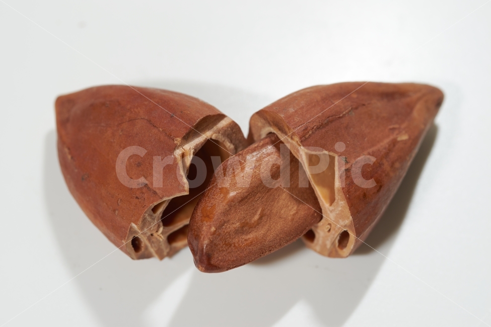 피넛,필리핀,건과,단단한,간식,음식,절단,흰색배경,갈색,가로,건강식,원숭이,음식,식재료,요리,food,cook,meal,dishes,food reserves,콩류,견과류,beans,pulse,nuts,dry fruits,누끼,remove background
