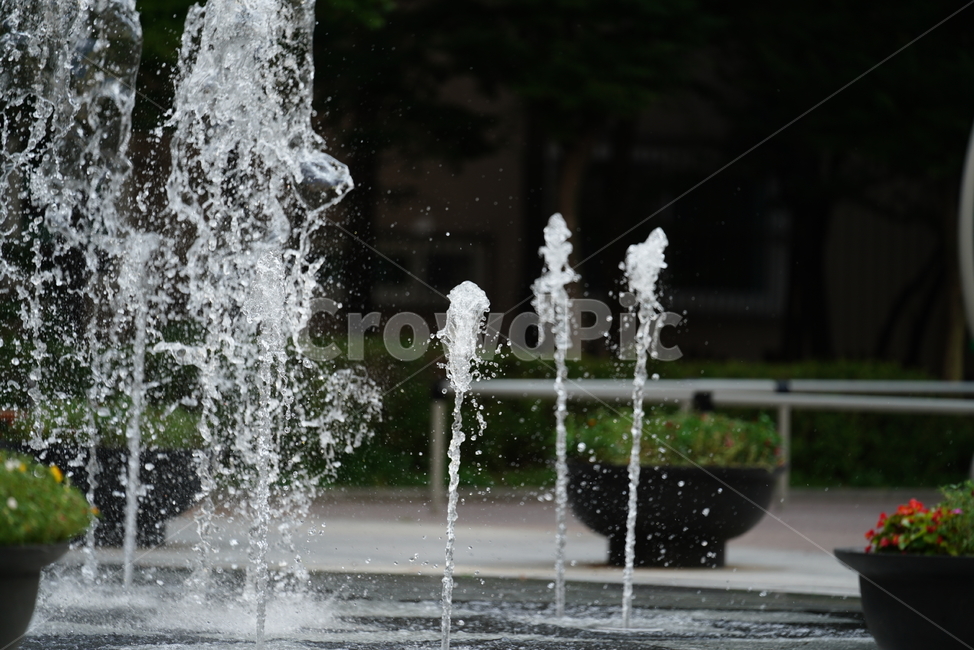 물,분수,워터,water,풍경,여름,계절,summer,season