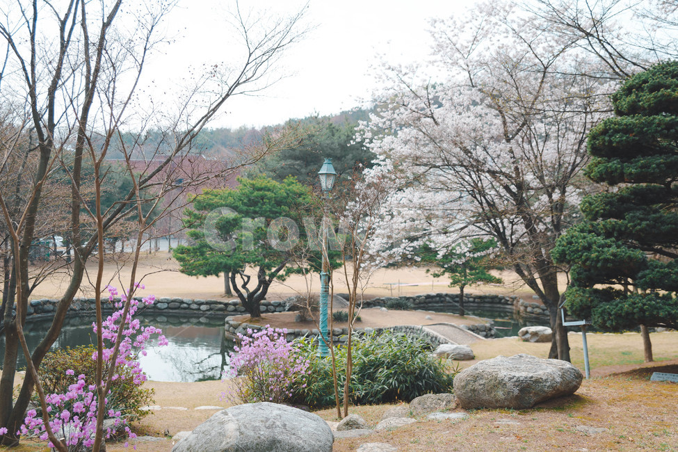 학교,대학교,school,university,캠퍼스