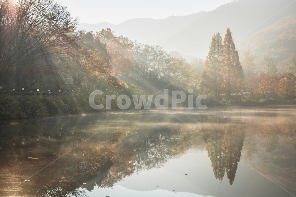빛내림,가을,단풍,낙엽,일출,햇살,가을,계절,fall,autumn,season,자연,풍경,nature,landscape,한국자연풍경,한국자연경관,korea nature landscape,weather,날씨,outdoors,옥외,fog,안개,mist