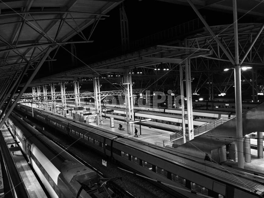 흑백,불빛,철도,역사,세벽,흑백,모노톤,monochrome,black and white,교통,교통수단,traffic,transportation,train,기차,vehicle,차량,train station,기차역