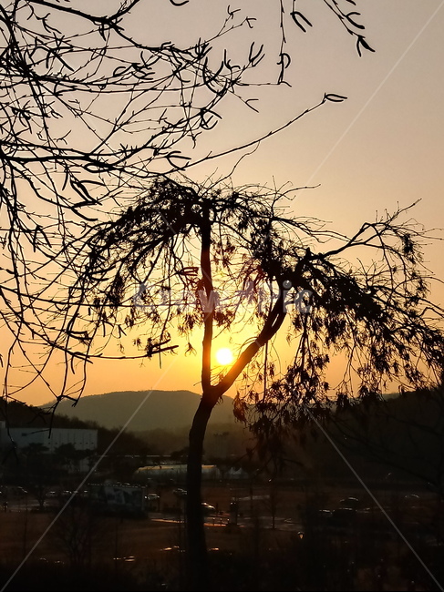 석양,일몰,태양,옥외,붉은하늘,하늘,sunset,outdoors,sunlight,황혼,경치,sky,redsky,nature,자연,풍경,nature,landscape