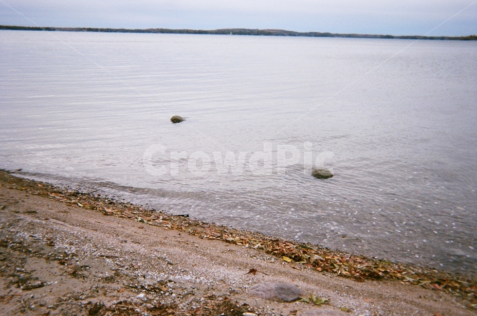 바다,강,호수,필름카메라,필름사진,필름,해변,바다,beach,sea