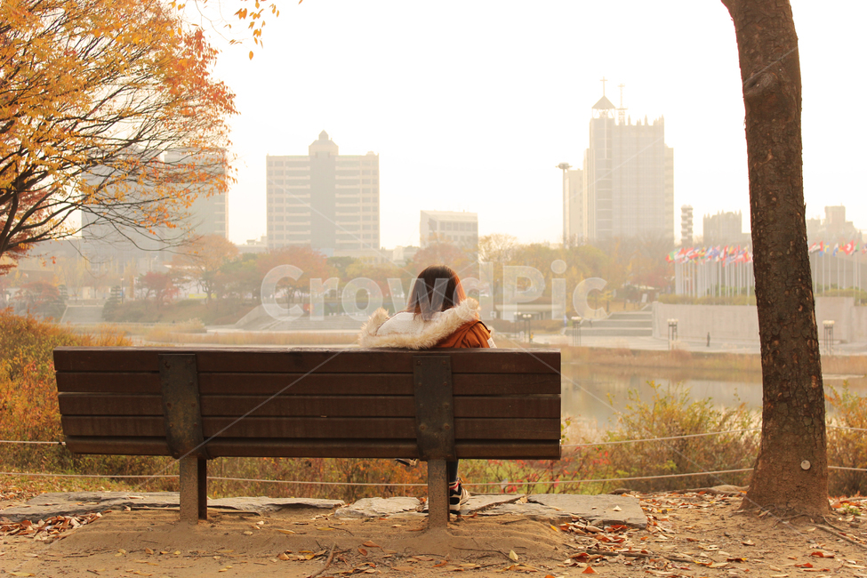 가을,낙엽,외로움,감성,단풍,계절,가을,계절,fall,autumn,season,사람,인물,인간,human,person,여성,여자,woman,female,lady,고독함,외로움,쓸쓸함,우울함,슬픔,lonely,solitary,bench,벤치,furniture,가구