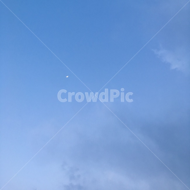 자연,하늘,구름,흐림,날씨,둥실둥실,자연,풍경,nature,landscape,flying,나는,animal,동물,bird,새