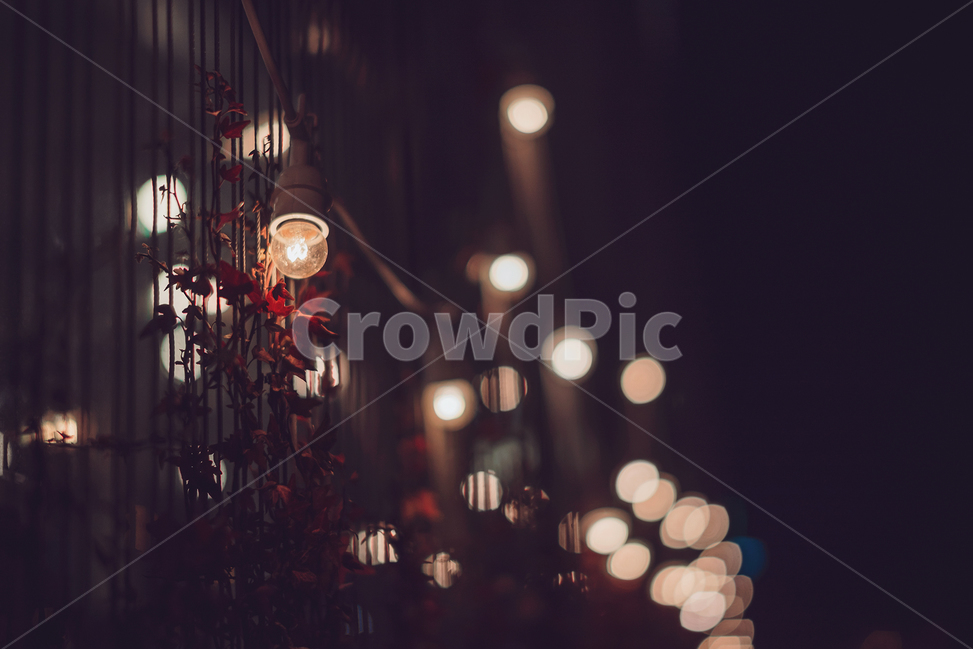 감성사진,필라멘트,전구,저녁,야경,야경,밤,풍경,nightscape,night,landscape,감성,sensible,feeling,light,빛,lightbulb