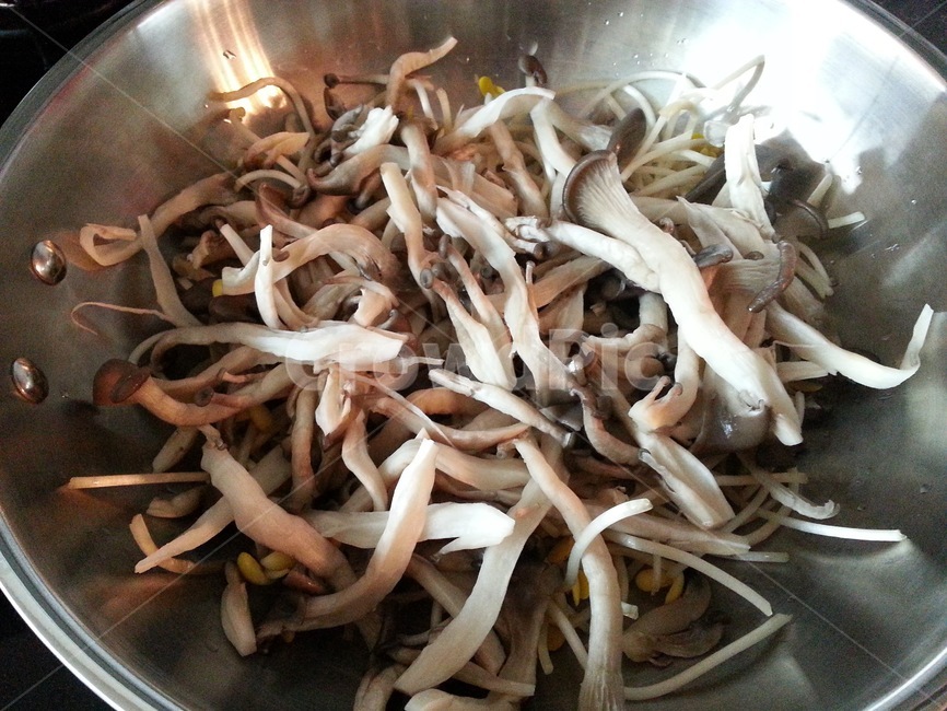 버섯,느타리,느타리버섯,야채,food,음식