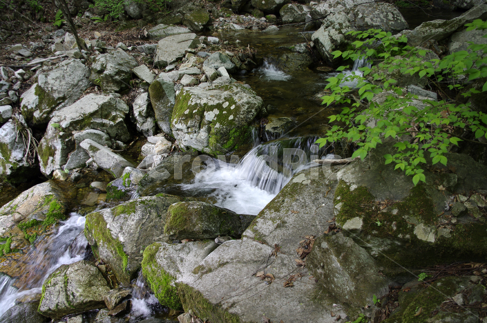 계곡,산,숲,나무,바위,돌,물,자연,풍경,nature,landscape,water,outdoors,옥외,stream,흐름