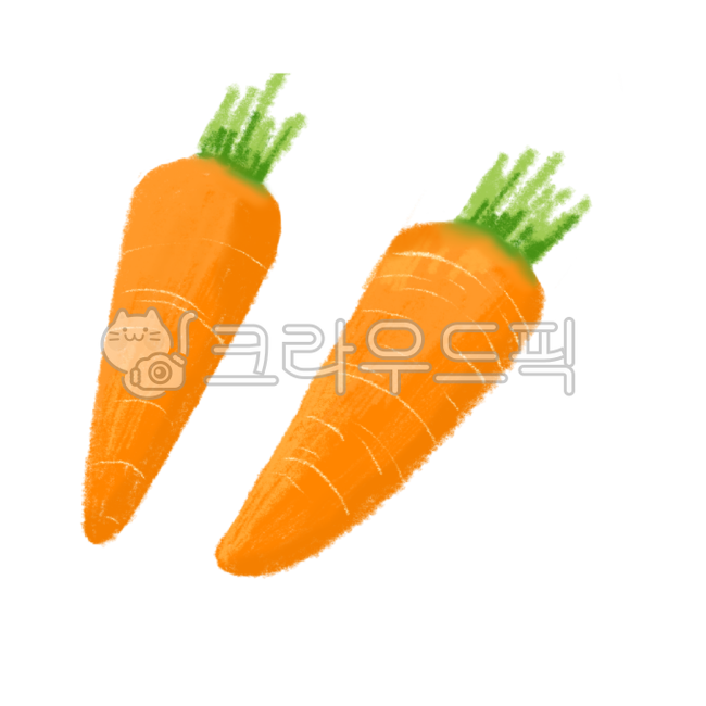 당근,carrot,당근일러스트,당근손그림,당근그림,채소,채소일러스트,당근일러
