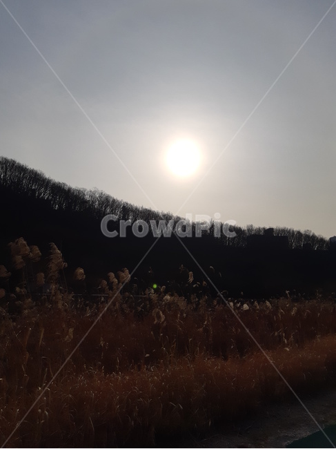 빛,자연,산,가을,갈대