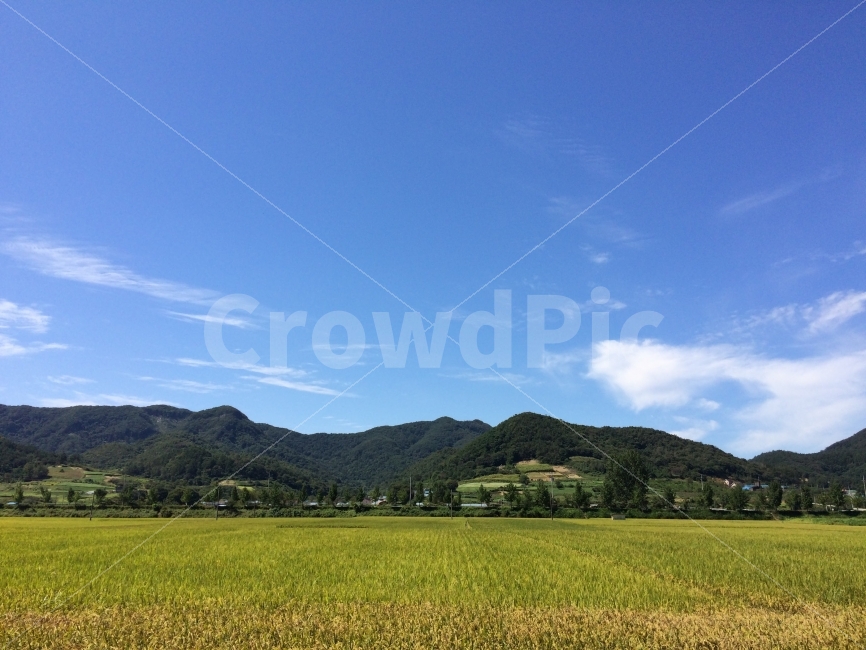 아이폰으로찍다,가을,시골,풍경,감성,임실,아이폰사진,풍경사진,자연,풍경,nature,landscape,시골,마을,country,rural,town,outdoors,옥외,field,들