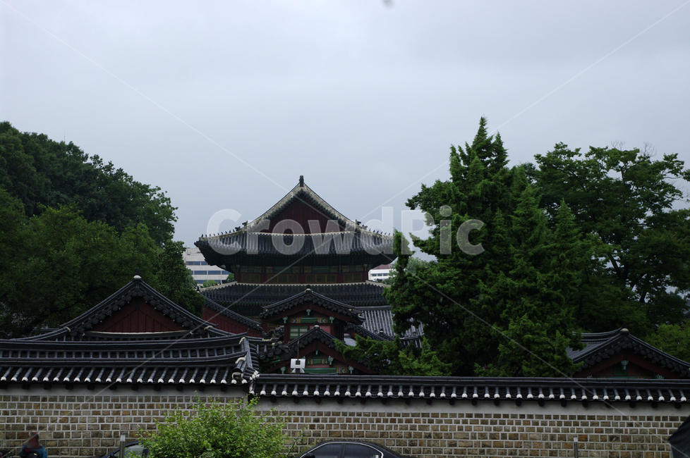 창덕궁,고궁,한옥,전통가옥,기와지붕,건축,traditional,나무,한국전통,한국문화,korean traditional,korean culture,랜드마크,landmark,tourist attraction,한국랜드마크,한국관광지,한국명소,korea landmark,korea tourist attraction,건축물,건물외관,exterior,building,structure,architecture,construction