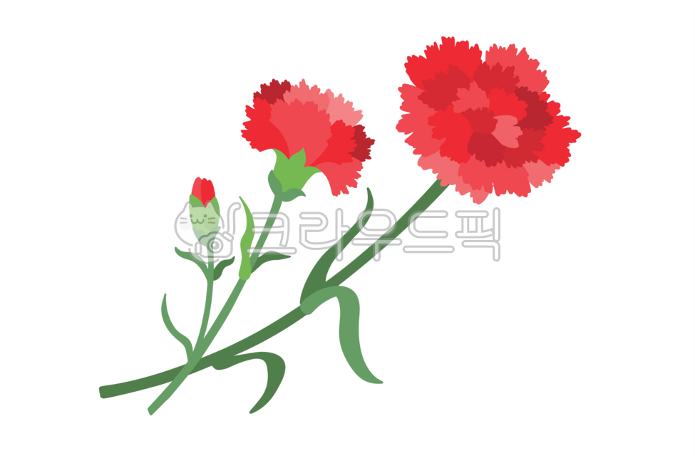 love,to make,carnation card,art materials,carnation,Make a card,Kindergarten art materials,carnation flower,Parents Day Card Design,Carnation illustration,Teachers day,family month,Materials to make,Parents Day Materials,Mothers Day,heart,flower,Parents D