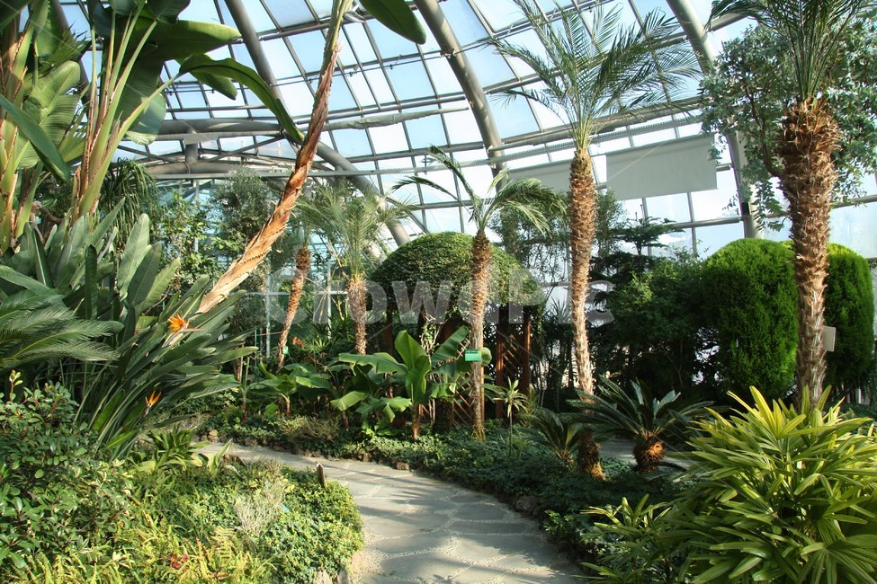 garden,정원,나무,식물,식물원