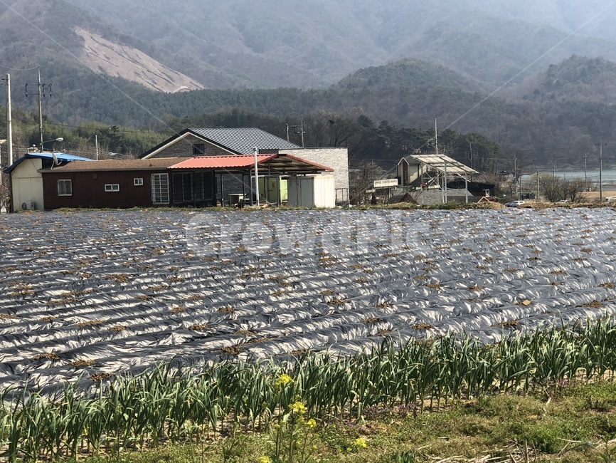 building,shelter,피난처,outdoors,자연,nature