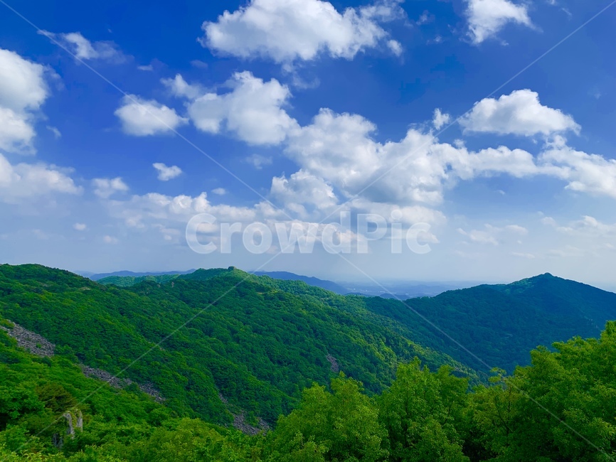산,mountain,산정상,나무,하늘,구름,꼭대기